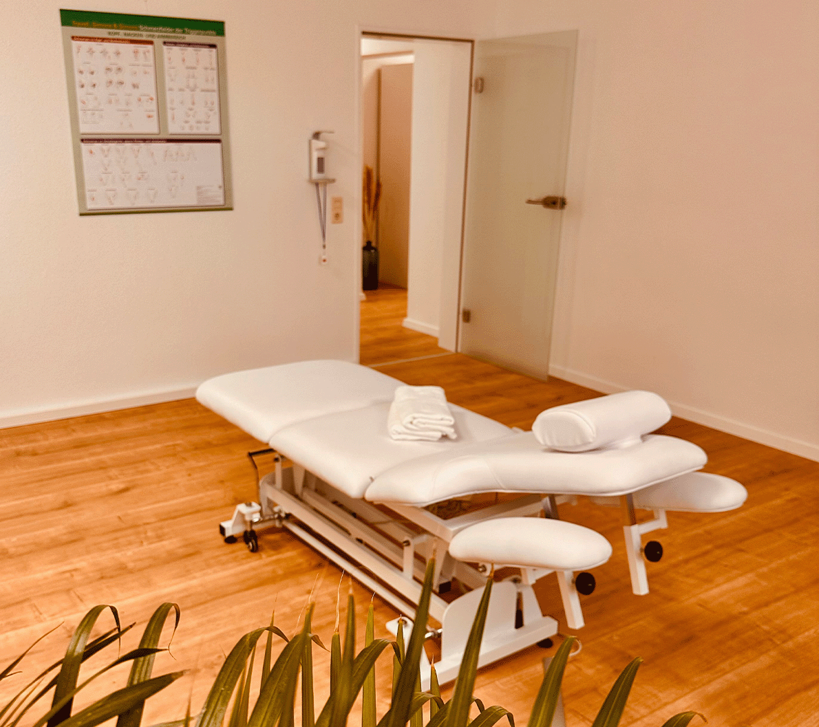 Leonie Seewald Heilpraktiker für Physiotherapie Manuelle Therapie Gymnastik